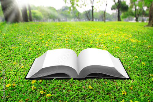 Photo: Seedlings based on the book. On the ground, in the park Seedlings based on the book. On the ground, in the park