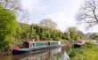 Green narrowboat