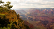 Grand Canyon at sunset