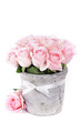 roses in a pot