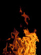 fire