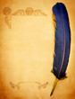 caligraphy