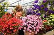 Foto: young female gardener in the greenhouse young female gardener in the greenhouse