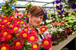 Foto: young female gardener in the greenhouse young female gardener in the greenhouse