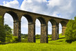 lowgill viaduct and Meadow