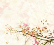 Pink Blossom Digital Painting Background Pink Blossom Digital Painting Background
