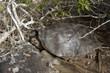Isla san cristobal,islas galapagos Ecuador