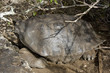 Isla san cristobal,islas galapagos Ecuador