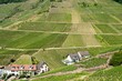 Weinanbau Altenahr