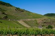 Landschaft Rheinland-Ahr