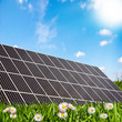 Solarwiese