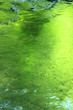 水面