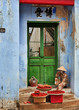 Hoi An Street Vendor