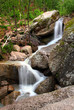 waterfall in summer woods
