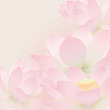 Floral postcard. Lotus.