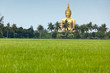 rice field and huge buddha statue, thailand