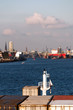 View My Portfolio