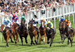 Horse Racing 1