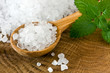 Sea salt