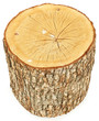 Isolated Tree Log with Bird Droppings Isolated Tree Log with Bird Droppings