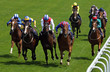 Horse Racing 5