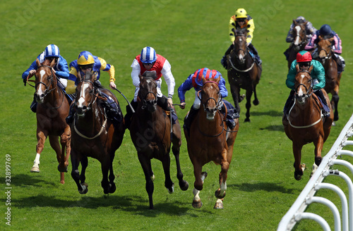 Photo: Horse Racing 5 Horse Racing 5