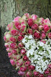 A sympathy flower arrangement, heart shaped and made of pink ros A sympathy flower arrangement, heart shaped and made of pink ros