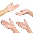 Variety of hands in different poses