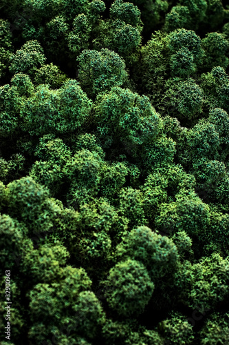 Photo: Organic material abstract Organic material abstract