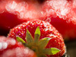 Red strawberries, macro close-up