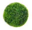 Photo: Green grass sphere Isolated on White Green grass sphere Isolated on White