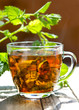 kräutertee - melisse - antistresstee