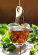 kräutertee - melisse - antistresstee