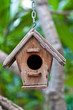 the nest
