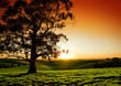 Rural Sunset