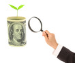 magnifying glass lies on american dollars on white