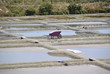 marais salant
