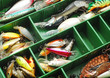fishing tools