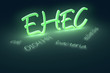 EHEC coli bacteria text