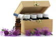 naturmedizin
