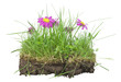 Bunch of lawn-  my EARTH concept