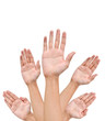 Many Hands raise high up