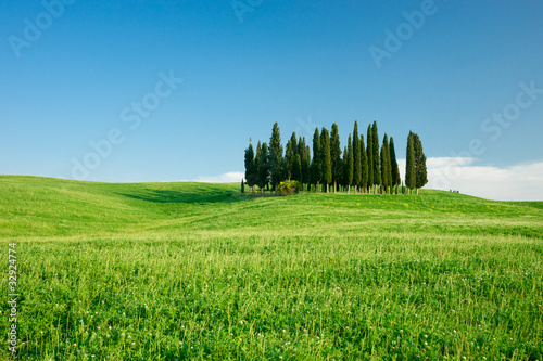Photo: Tuscan landscape Tuscan landscape