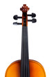 Violin close up