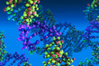 DNA molecule model