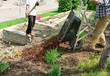 Wheelbarrow full of Mulch