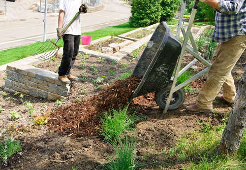 Photo: Wheelbarrow full of Mulch Wheelbarrow full of Mulch