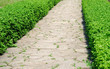 garden path garden path