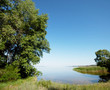 Summer river