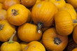 Pile of pumpkins